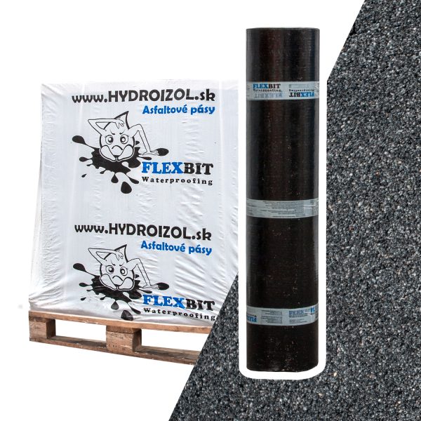 FLEXBIT GLAS G200 S4
